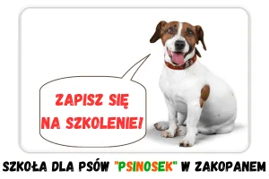 Zapisz się na szkolenie w Szkole dla psów Psinosek w Zakopanem
