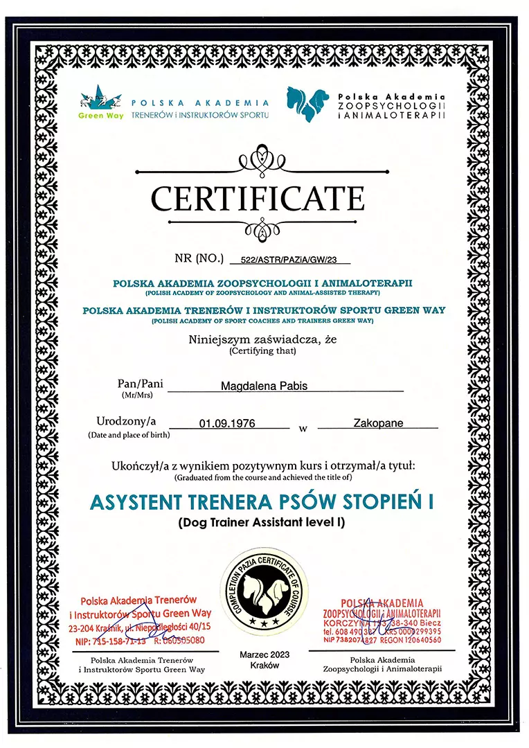 Certyfikat PAZiA asystent trenera psów stopień 1 - Magdalena Pabis
