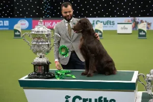 Crufts Dog Show – Perła wśród wystaw psów