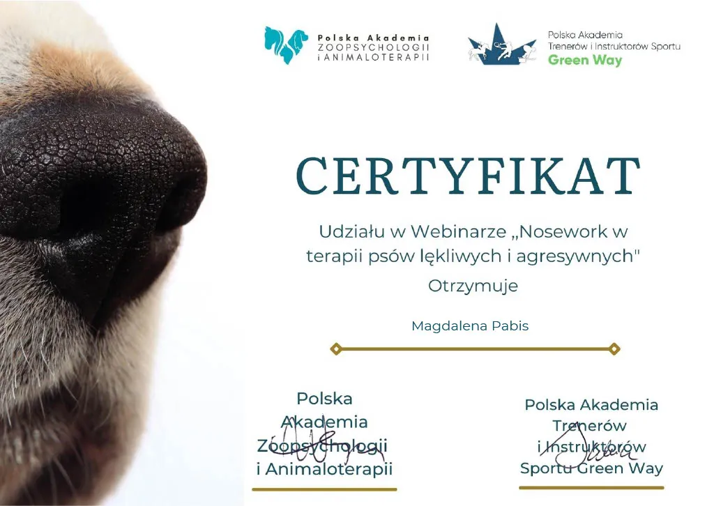 Certyfikat Polskiej Akademii Zoopsychologii i Animaloterapii udziału w webinarze "Nosework w terapii psów lękliwych i agresywnych" dla Magdaleny Pabis