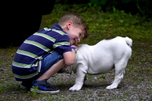 “Mamo, tato mogę pogłaskać?” – Elementarz dla każdego rodzica