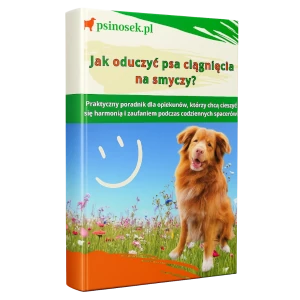 E-book: Jak oduczyć psa ciągnięcia na smyczy?