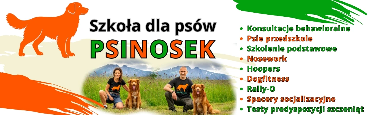 Baner Szkoły dla psów PSINOSEK w Zakopanem