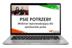 Webinar: Psie potrzeby jako droga do spokojnego i szczęśliwego psa